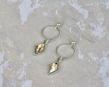 Load image into Gallery viewer, Berlynne Ring Drop Earrings - Golden Shadow
